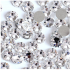 Swarovski стразы  прозрачные SS3, 50 шт.