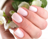 LOVIA CURE Жидкий Полигель-архитектор 4в1 Ambitious Porcelain, 17 мл.