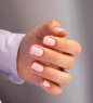 Provocative Пленки для маникюра Soft Pink, 25 шт.